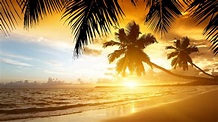 Coucher de soleil sur la plage - Fond d'écran Ultra HD