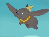 Flying Dumbo GIF - Flying Dumbo Big Ears - Descobrir e Compartilhar GIFs