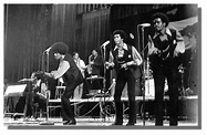 A Trojan Horse of Funk and Soul: The Story of the Black Panthers House ...