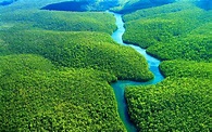 Amazonas Wallpapers - Top Free Amazonas Backgrounds - WallpaperAccess