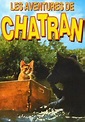 Solo Quince Minutos.com: Las aventuras de Chatrán: 65 gatos no pueden ...