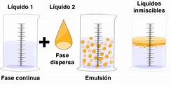 Emulsión Química - Concepto, fases, tipos y ejemplos