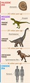 Types of Dinosaurs You Ought to Know About / 5-Minute Crafts