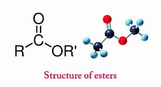What Are Esters? - Formation, Properties And Uses » Science ABC