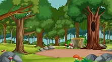 Dibujos Bosques Animados Escena Del Bosque De Dibujos Animados Images ...