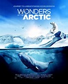 Wonders of the Arctic > K2 Studios