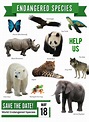 Endangered Species Day - May 18th