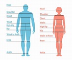 How to Use a Body Measurement Chart + Printable for Men & Women