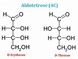Aldotetrose | EasyBiologyClass