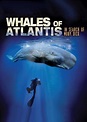 Whales of Atlantis: In Search of Moby Dick (2003) - Posters — The Movie ...