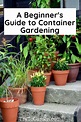 A Beginner's Guide to Container Gardening - Try To Garden
