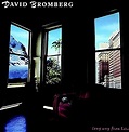 Płyta kompaktowa David Bromberg - David Bromberg - Long Way From Here ...