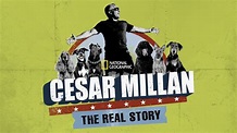 Watch Cesar Millan: The Real Story | Full movie | Disney+
