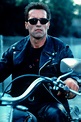 Terminator 2 Judgment Day (1991) Arnold Schwarzenegger / T 800 Model ...