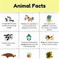 Fun Facts about Animals for Kids with free animal facts Printable