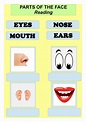 Parts Of Face Worksheet