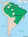 Mapa do Brasil selva amazónica - Mapa da selva amazónica, no Brasil ...