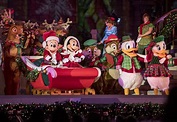 8 Favorites at Mickey's Very Merry Christmas Party at Walt Disney World ...
