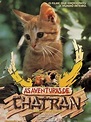 Cartel de la película Las aventuras de Chatran - Foto 1 por un total de ...