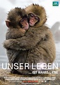 Film » Unser Leben | Deutsche Filmbewertung und Medienbewertung FBW