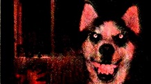 Smile Dog Creepypasta Wallpapers - Wallpaper Cave