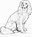 ️Realistic Puppy Coloring Pages Free Download| Goodimg.co