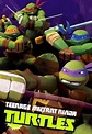 Watch Teenage Mutant Ninja Turtles TV Online| WatchSeries