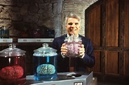 Ten reasons why The Man With Two Brains is the best comedy movie ever ...