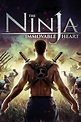 Ninja Immovable Heart, 2014 Movie Posters at Kinoafisha