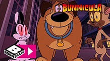 Corre por tu conejo | Bunnicula, el conejo vampiro | Boomerang - YouTube