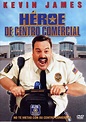 Ver película Héroe de centro comercial (2009) HD 1080p Latino online ...