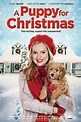 A Puppy for Christmas (2016) - FilmAffinity