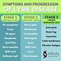 Symptoms and Stages of Lyme Disease | Infinity Wellness Center