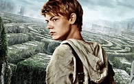 HD Thomas Brodie Sangster In The Maze Runner HD Wallpaper | Download ...