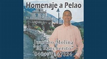 Homenaje a Pelao (feat. Juancho Molina) - YouTube