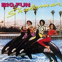 Big Fun - Album by Shalamar | Spotify