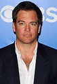 Michael Weatherly Picture 7 - 2012 CBS Upfronts
