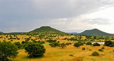 File:Upland South Africa Savanna.jpg - Wikimedia Commons