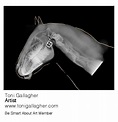 Toni Gallagher, Artist. Website: www.tonigallagher.com | Artist, Back ...