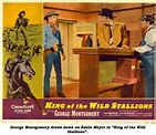 King of the Wild Stallions (1959) - FilmAffinity