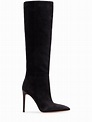 Paris Texas 105mm Suede Tall Boots In Black | ModeSens