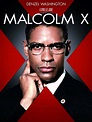 Малкольм Икс / Malcolm X (1992) | AllOfCinema.com Лучшие фильмы в рецензиях