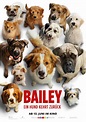 Poster zum Bailey - Ein Hund kehrt zurück - Bild 2 - FILMSTARTS.de