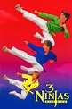 3 Ninjas Kick Back (1994) — The Movie Database (TMDB)