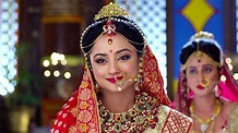 Watch Seethayanam TV Serial Episode 40 - Sita Convinces Janak Full ...