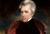 The 1828 Campaign of Andrew Jackson and the Growth of Party Politics ...