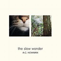 A.C. Newman - The Slow Wonder - Reviews - Album of The Year