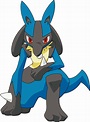 Lucario | Pokémon Wiki | FANDOM powered by Wikia | Pokemon rayquaza ...