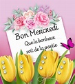 ᐅ 135 Mercredi images, photos et illustrations pour whatsapp - Bonnes ...