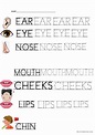 Parts of the face: English ESL worksheets pdf & doc